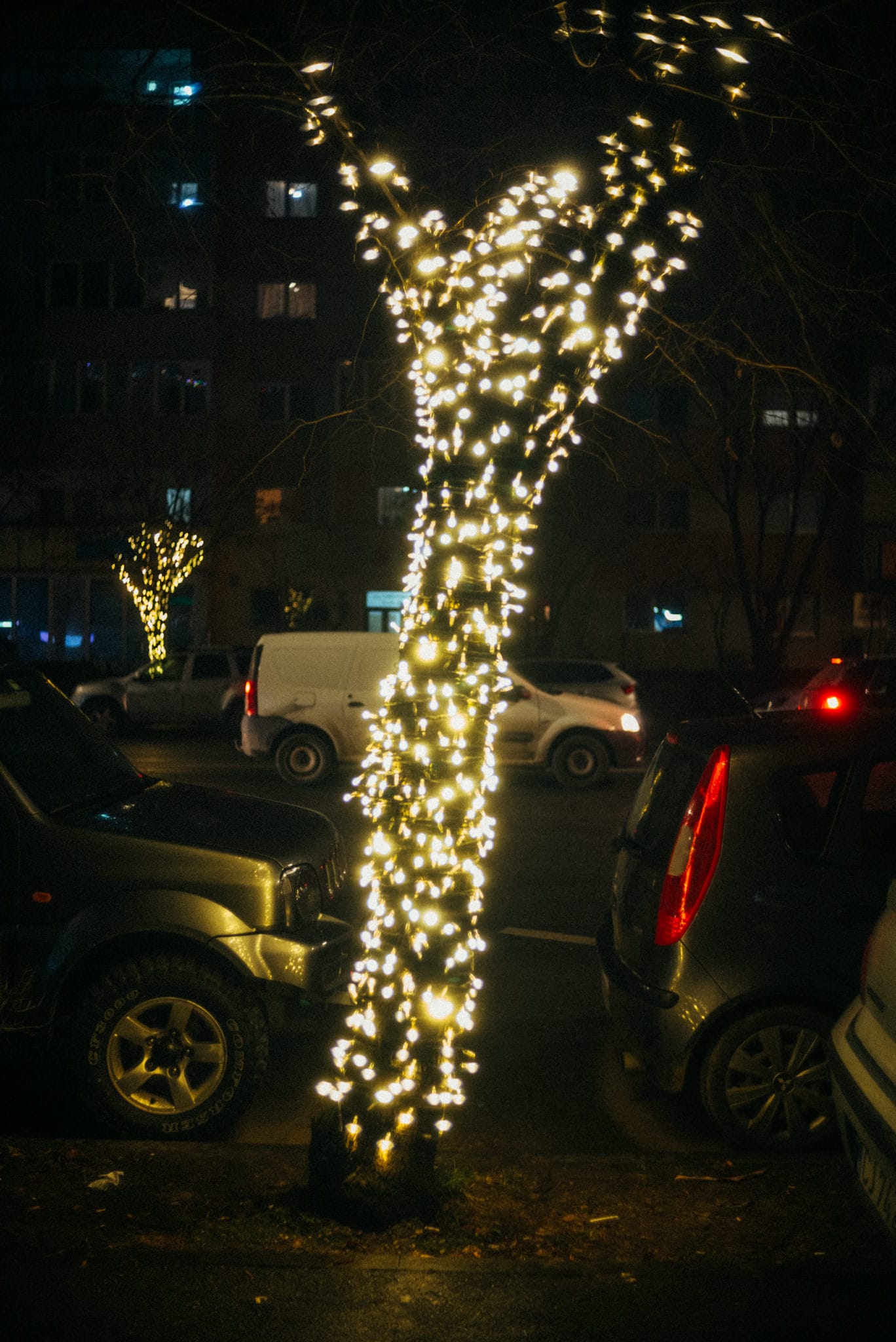 Night Walk, Dec 2022