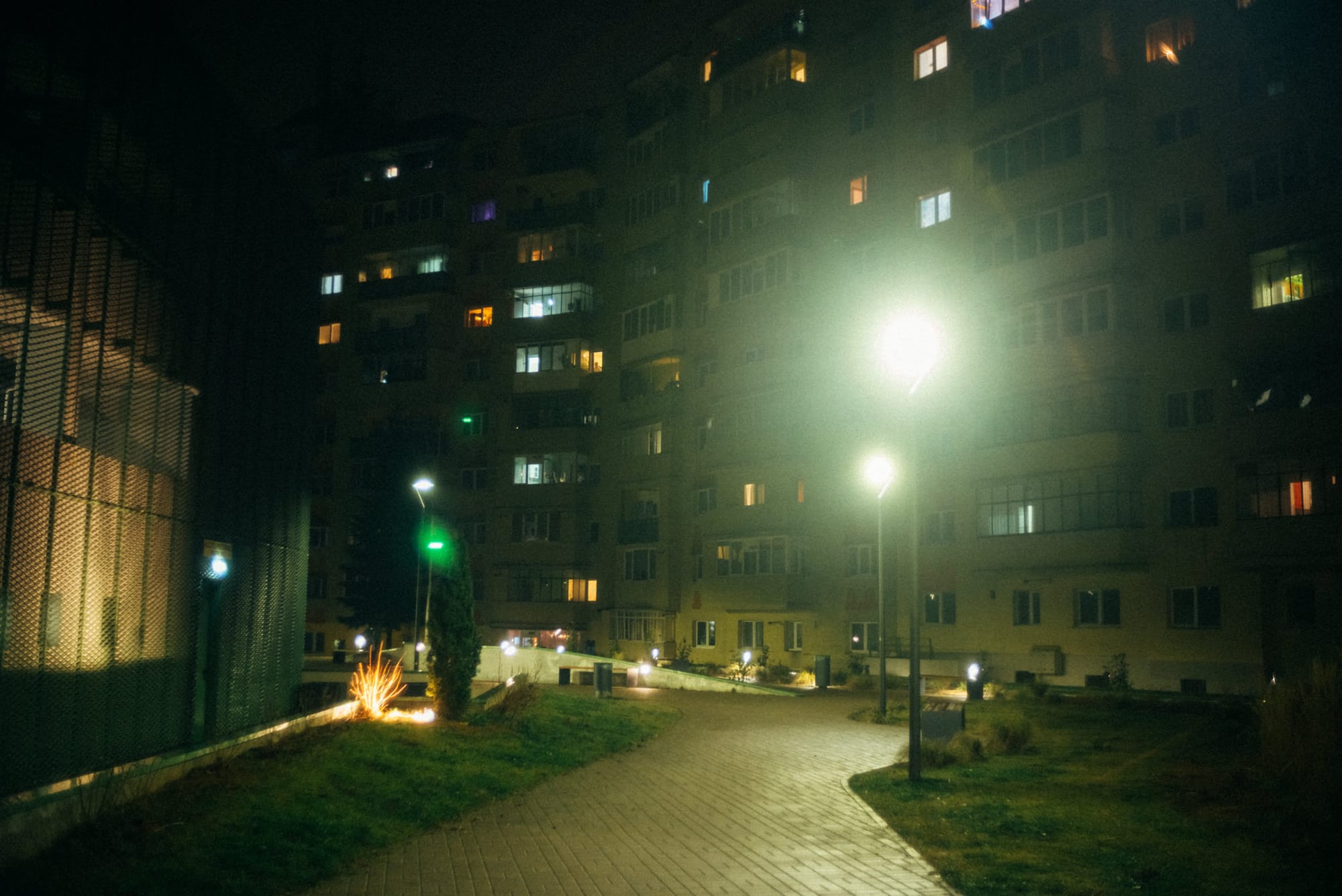 Night Walk, Dec 2022